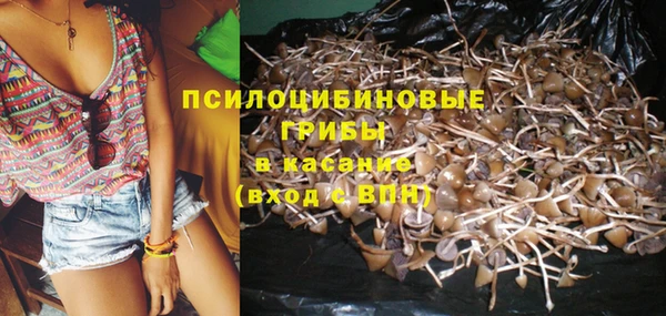 крисы Заволжск