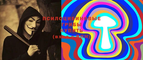 ПСИЛОЦИБИНОВЫЕ ГРИБЫ Заволжье