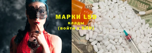 ПСИЛОЦИБИНОВЫЕ ГРИБЫ Заволжье