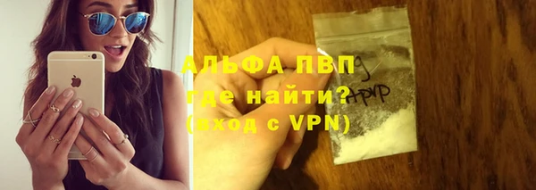 ПСИЛОЦИБИНОВЫЕ ГРИБЫ Заволжье