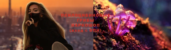 крисы Заволжск