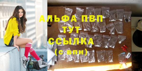 ПСИЛОЦИБИНОВЫЕ ГРИБЫ Заволжье