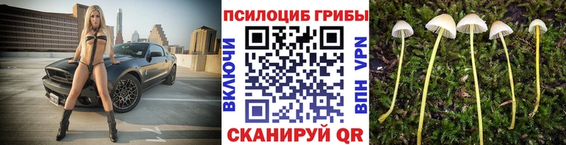 Псилоцибиновые грибы MAGIC MUSHROOMS  Купить закладки  Ковдор 